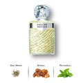 Eau de Rochas by Rochas