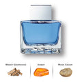 Blue Seduction by Antonio Banderas