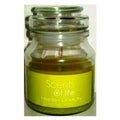 Fresh Lemon Scented Candle by Scents Of Life