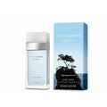 Light Blue Dreaming in Portofino by Dolce & Gabbana