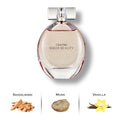 Sheer Beauty by Calvin Klein