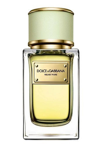 Velvet Pure by Dolce & Gabbana