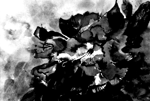 LumaVex - B&W AZALEA