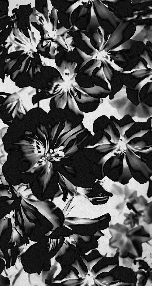 LumaVex - Fleurs in Black