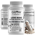 Organic Lion’s Mane Mushroom Capsules – Brain Support, Focus & Memory Boost (120 Count)