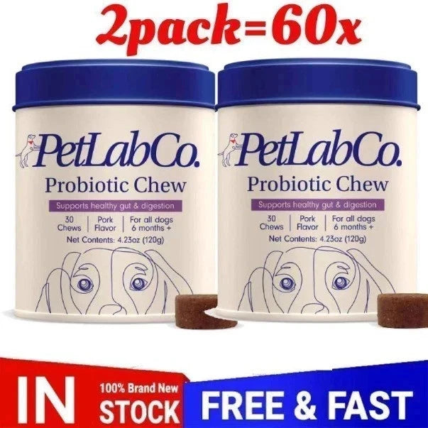 Premium Probiotic Soft Chews for Dogs – Digestive & Gut Health Support | Tasty Daily Treat | 2-Pack Supply